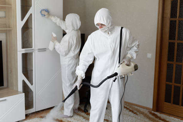 24/7 Emergency Odor Removal experts in Abingdon, VA